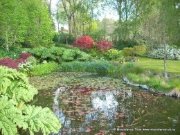 Pond - Spring View